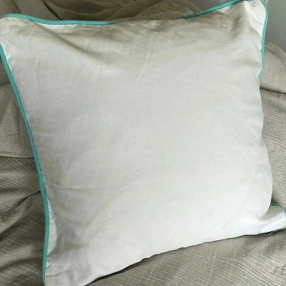 Pottery Barn Teen  Cushion Pillow Be a Dreamer - Picture 4 of 4